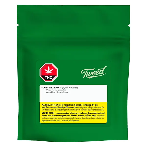 Sour Sucker Mints (Dried Flower) by Tweed