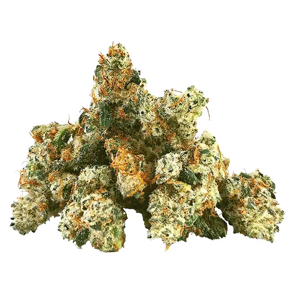 Image for Space Jam Smalls