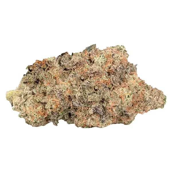 Image for Sunset Angel