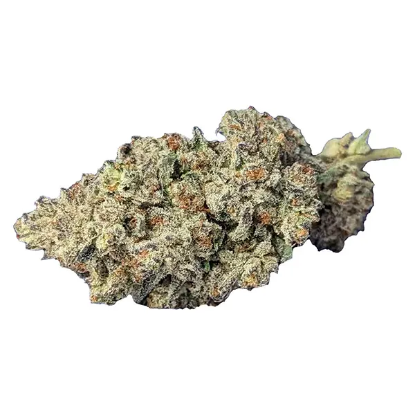 Bud image for Super Lemon Haze, cannabis all products by Papa's Herb