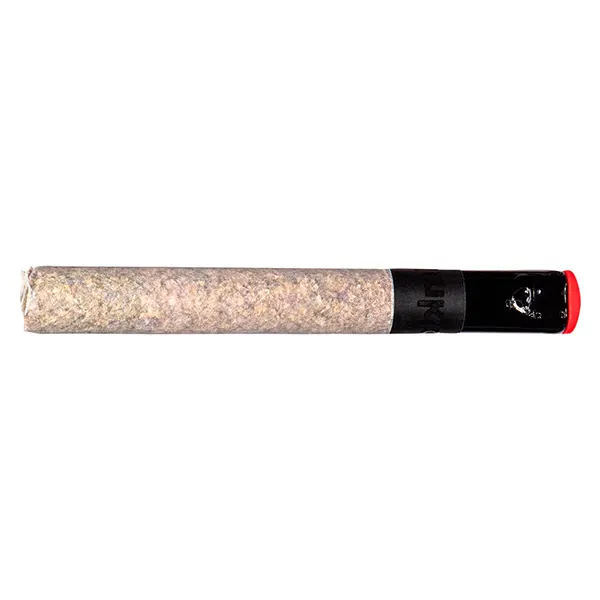 Image for The Magnum Pre-Roll