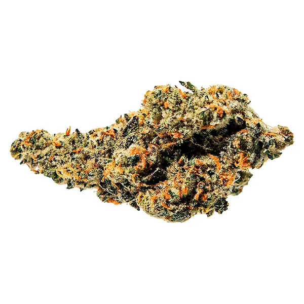 Product image for True Fire Cannabis Flower by 