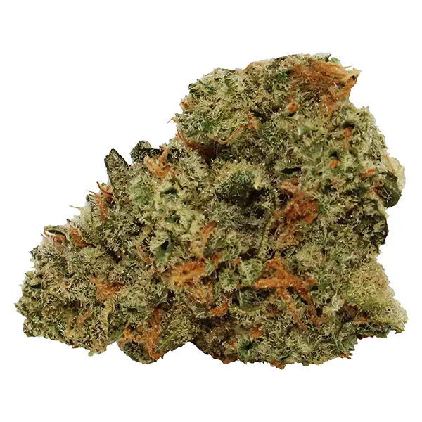 Image for Tropical Milkshake