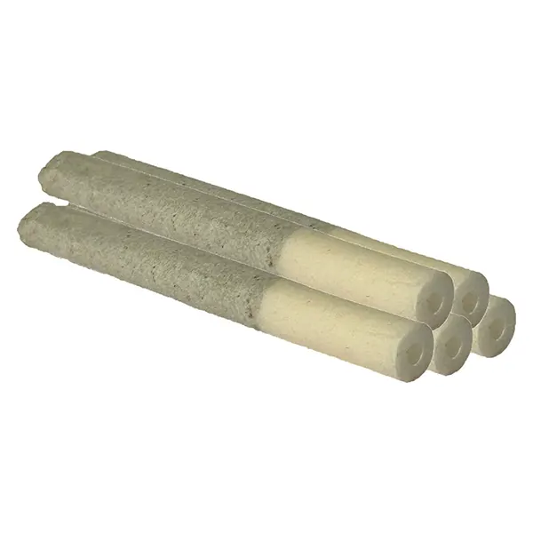 Tropical Punch 1:1 Pre-Roll