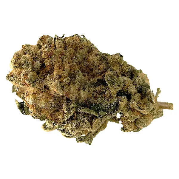 Bud image for White Widow, cannabis all products by Station House
