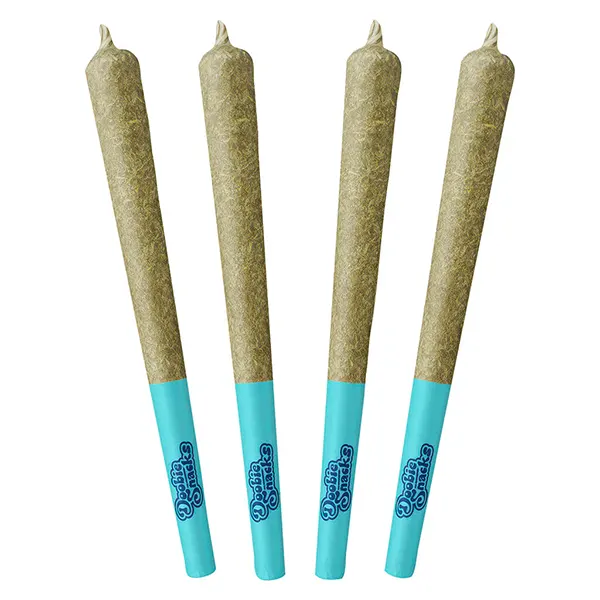 Image for Arctic Ice Pre-Roll