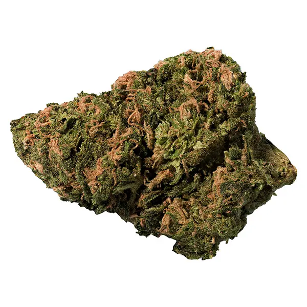 Bud image for BC Organic Sungrown Bonkers, cannabis all products by Big Steal