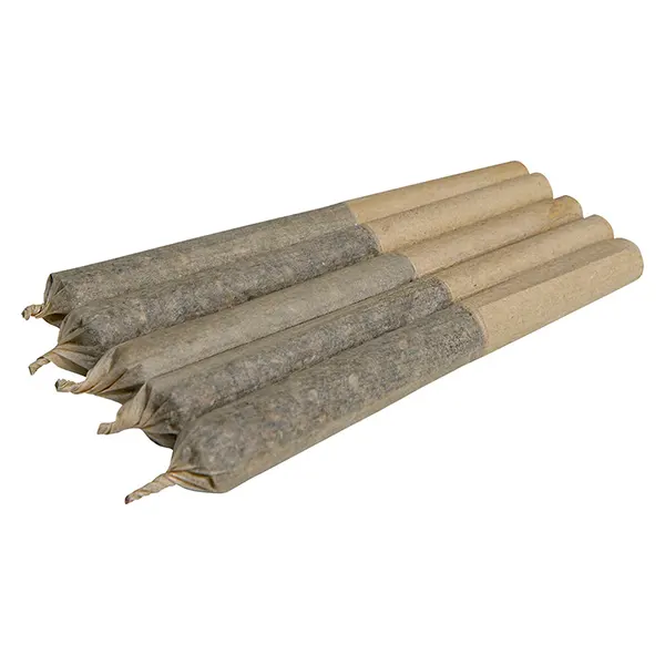 Image for Blueberry Bliss Pre-Roll, cannabis pre-rolls by WholeHemp