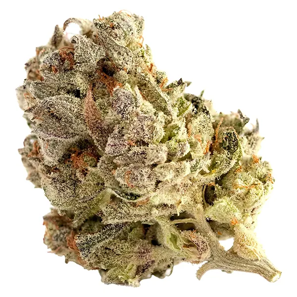 Cherry Park Pie (Dried Flower) by Highland Special
