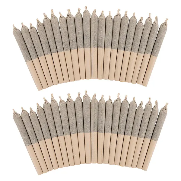 Big Pleasures Classic 40 Pre-Roll (Pre-Rolls) by Pure Laine