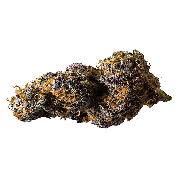 Black Cheese (Dried Flower) by 3rd Coast Genetics