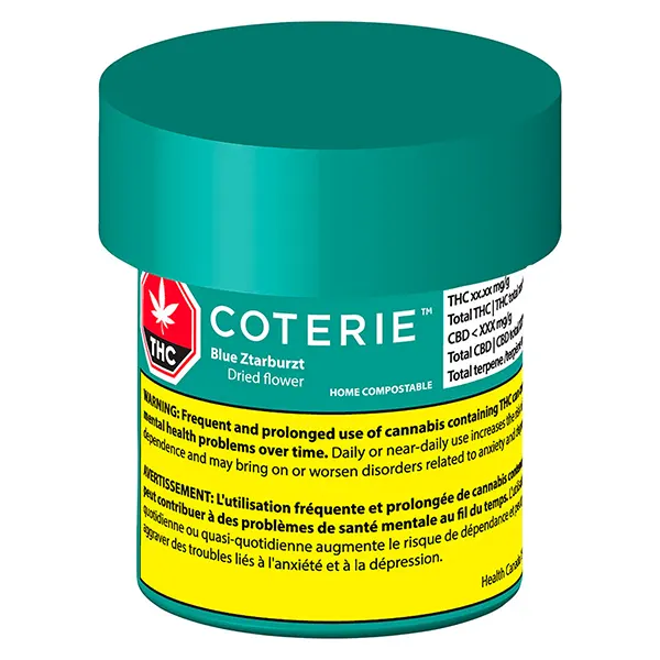 Blue Ztarburzt (Dried Flower) by Coterie