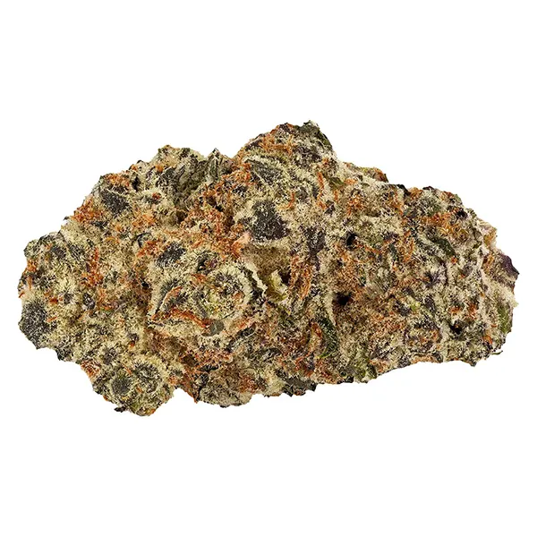 Image for Dante'z Inferno