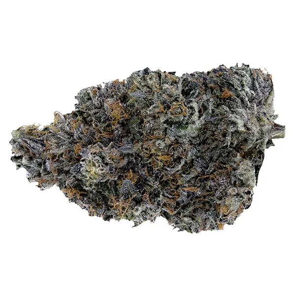 Image for Dark Rainbow