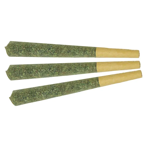 Image for Night Shift Pre-Roll