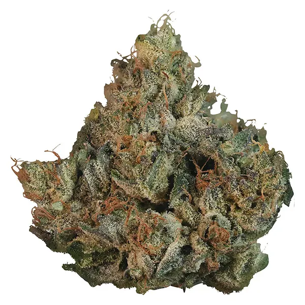 Image for Death Bubba