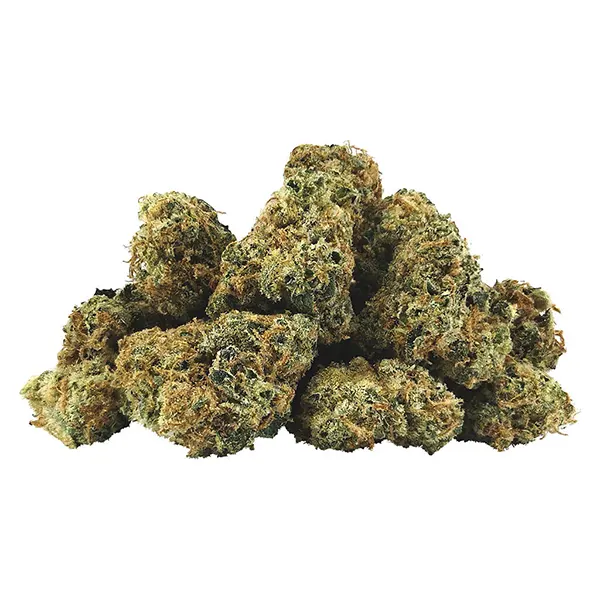 Bud image for Electric Lotus Smalls, cannabis all products by BC Smalls