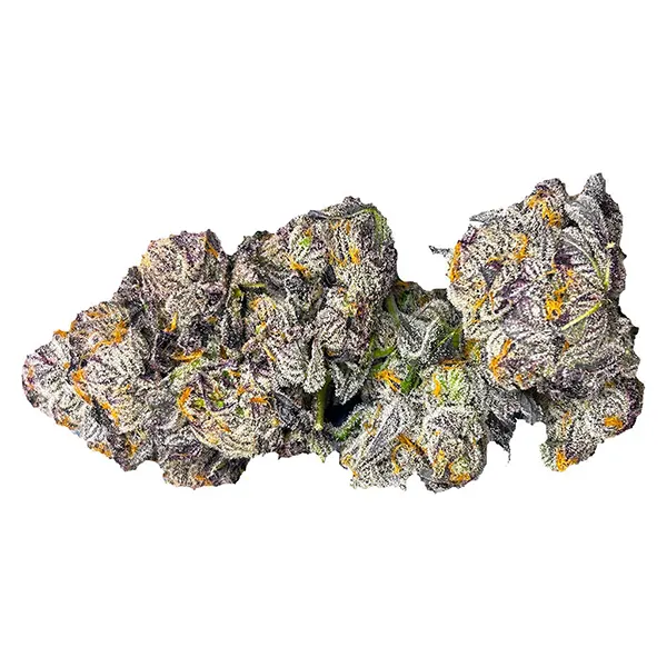 Bud image for GastroPop, cannabis dried flower by Castle Rock Farms