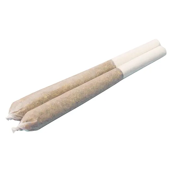 Image for Gastro Pop Live Resin Infused Pre-Roll