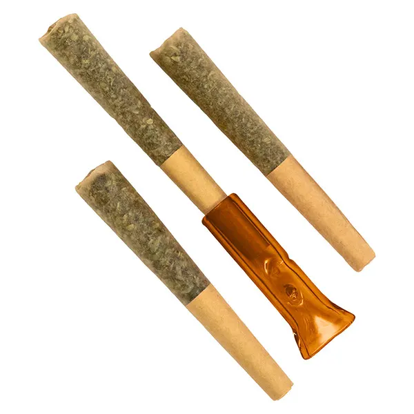 Gold Face Hash Rosin Infused Pre-Roll (Pre-Rolls) by Pure Sunfarms