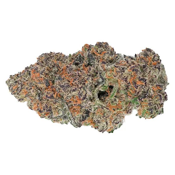 Grape Gotti #12 (Dried Flower) by Coterie