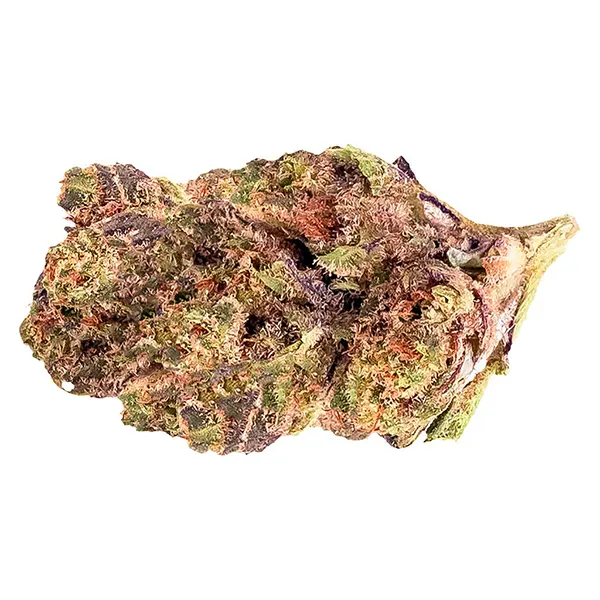 Bud image for Grape Pie, cannabis all products by 3Saints