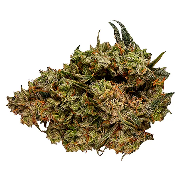 Image for Halftime Balanced