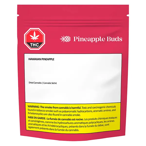 Hawaiian Pineapple (Dried Flower) by Pineapple Buds
