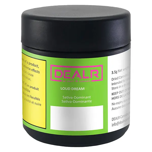 Loud Dream (Dried Flower) by DEALR