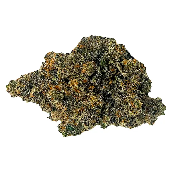 Image for Mango Fuel