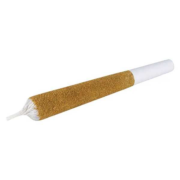 Image for Monsters Animal Amnesia Infused Pre-Roll