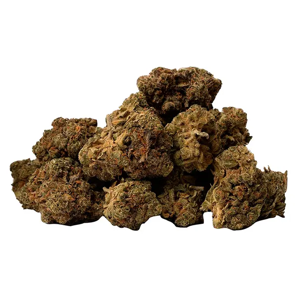 Image for Multiverse