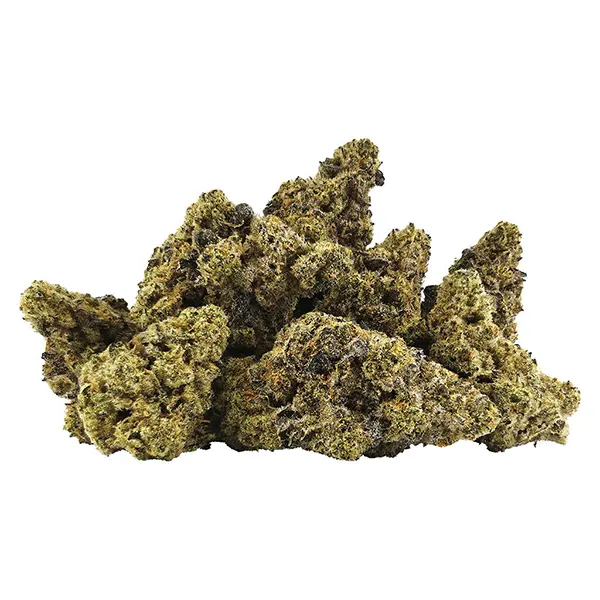 Image for OG1 Kenobi