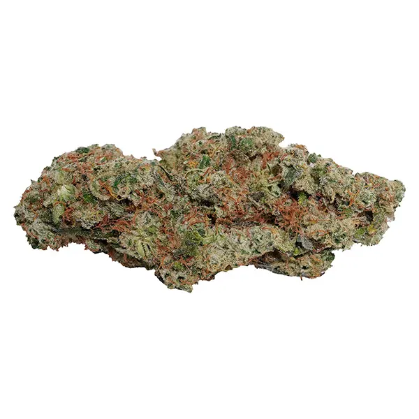 Image for OG Dutch Dragon