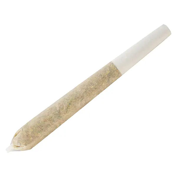 Image for Permanent Marker Pre-Roll