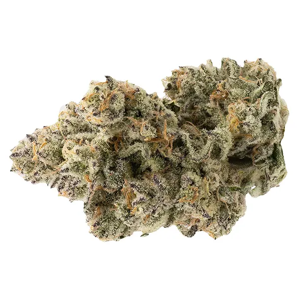 Bud image for Pineapple Bang, cannabis dried flower by Northern Canna