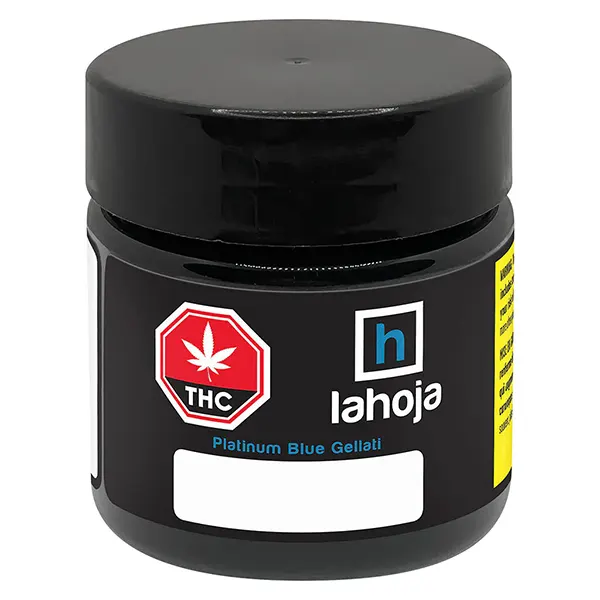 Platinum Blue Gellati (Dried Flower) by LaHoja