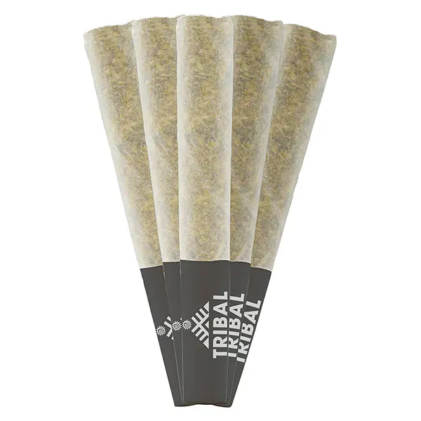 Porto Leche Pre-Roll (Pre-Rolls) by Tribal