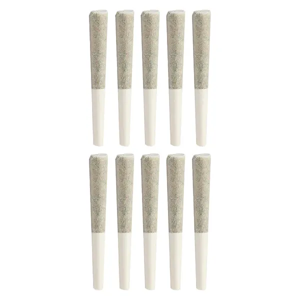 Image for Red Velvet Ice Cream Dog Walker Pre-Roll