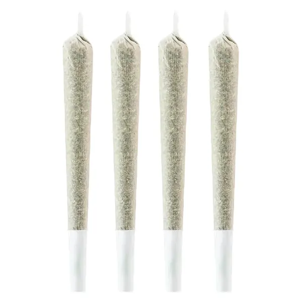 Image for Snack Pack - Sativa Pre-Roll