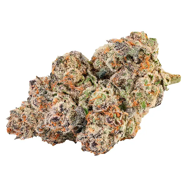 Sticky Bath (Dried Flower) by Tenzo