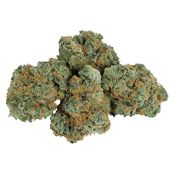 Image for Stratford's Craft Flower Experience