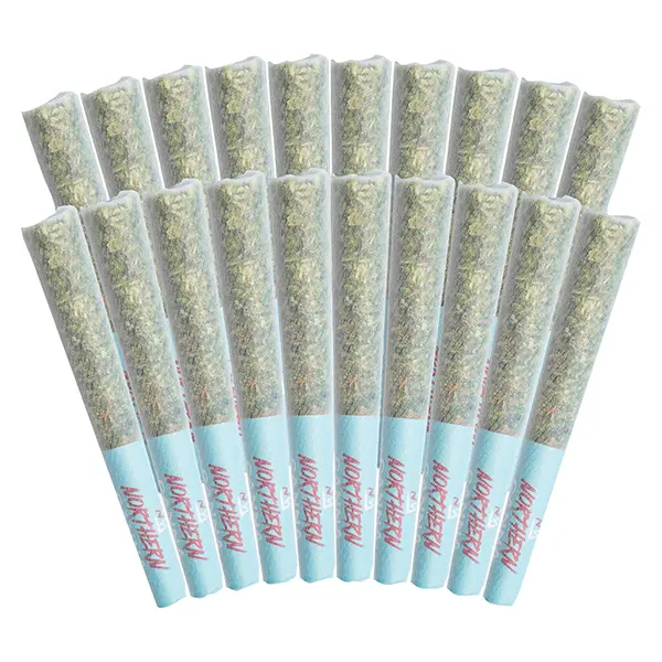 Image for The Collective Pre-Roll