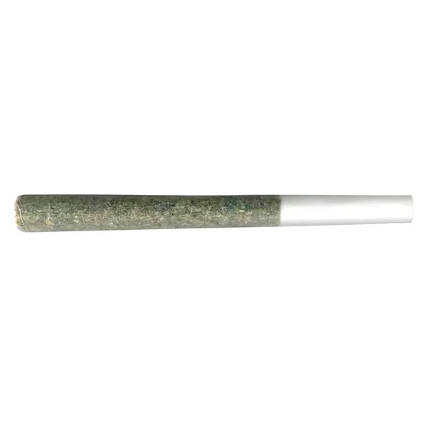The Penny Puffer Hash Infused Pre-Roll (Pre-Rolls) by Irony