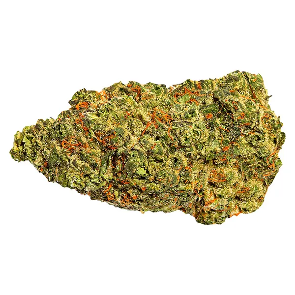 Image for Turbo Diesel