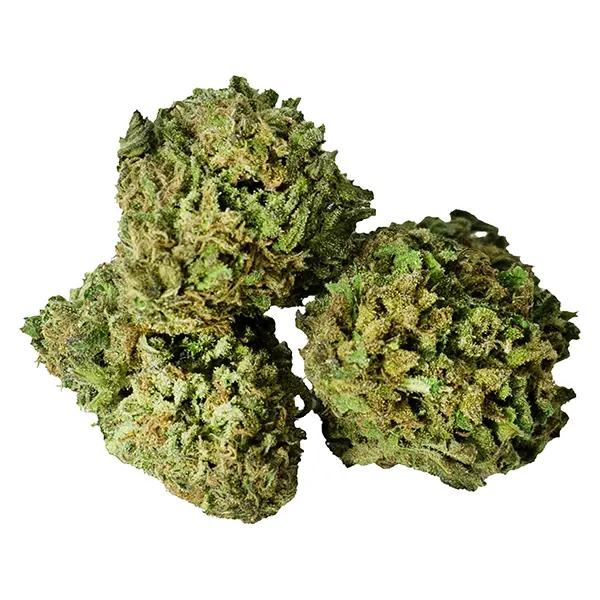 Bruce Banner (Dried Flower) by Fleur de L'ile