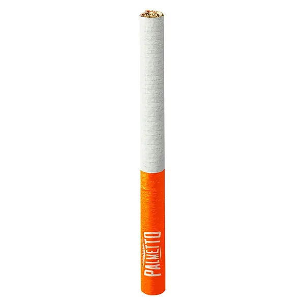 Image for PAL Pre-Roll