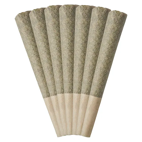 Product image for Wagyu Delight Pre-Roll, Cannabis Flower by Nugz