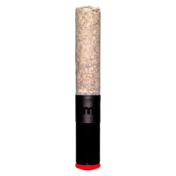 Noir x Jealousy Cannon Pre-Roll (Pre-Rolls) by BLKMKT