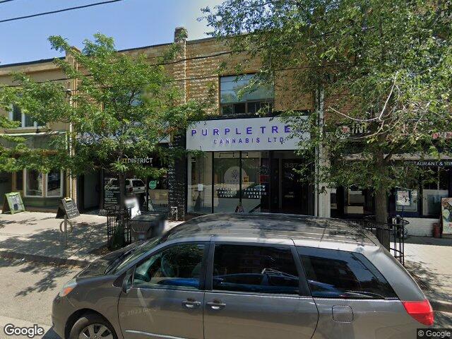 Street view for Purple Tree Cannabis, 337 Roncesvalles Ave, Toronto ON